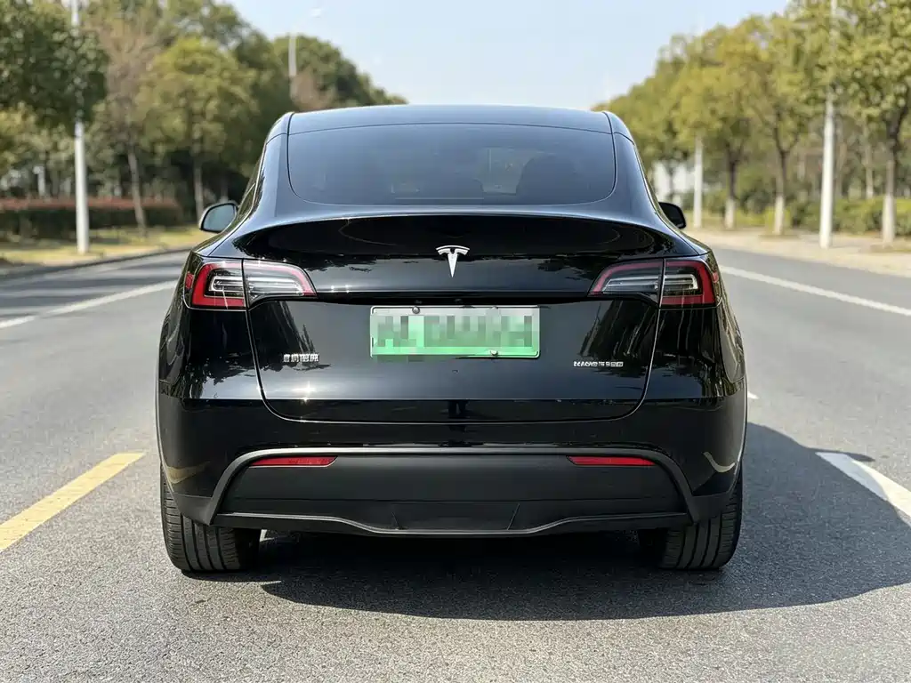 Tesla Model Y 2021 — фото 11