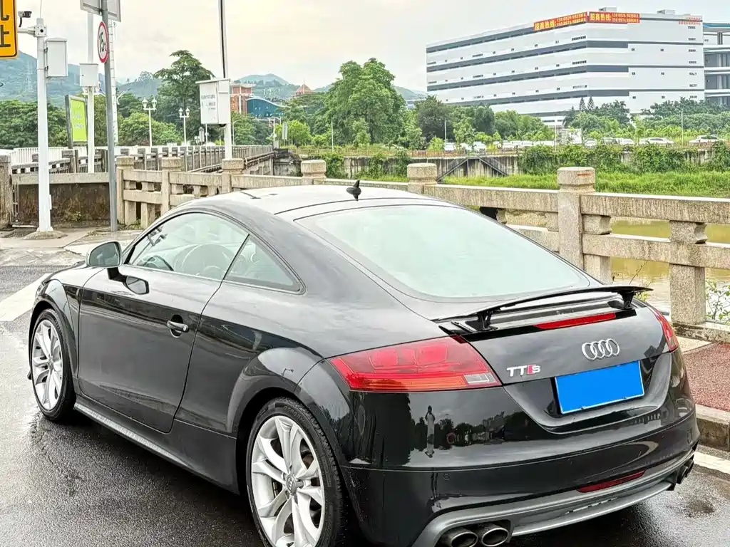 Audi TTS 2013