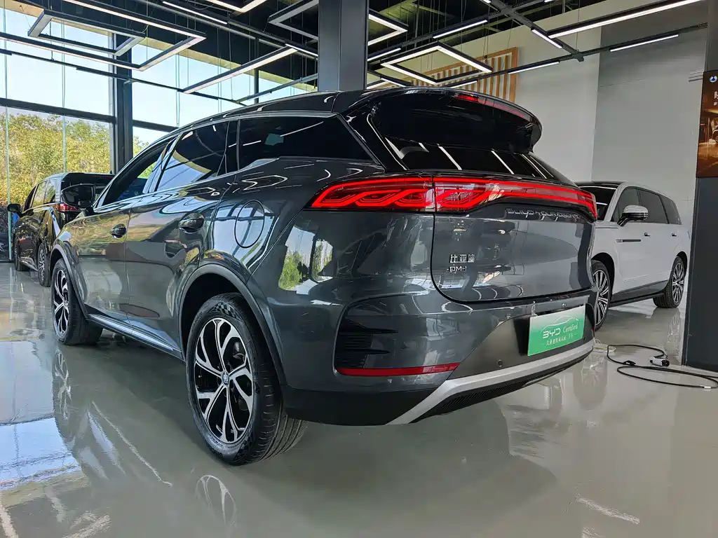 BYD Tang New Energy 2024 — фото 10