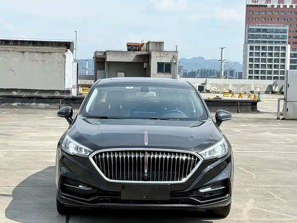 Hongqi H5 2023