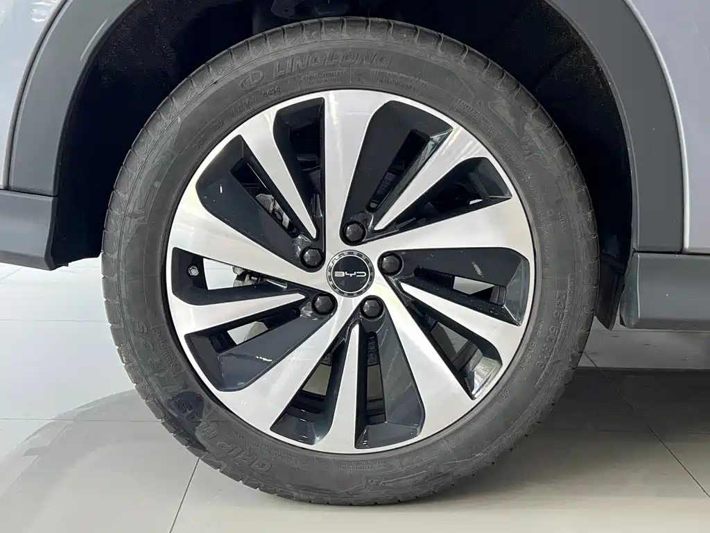 BYD Song PLUS New Energy 2024 — фото 10
