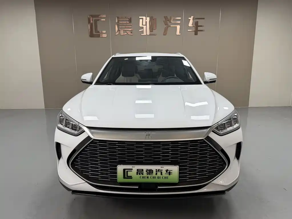 BYD PLUS New Energy 2022 — фото 2