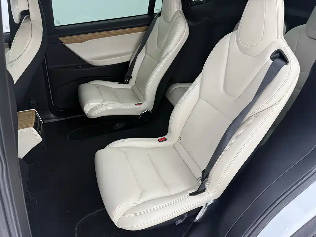 Tesla Model X 2019 — фото 12