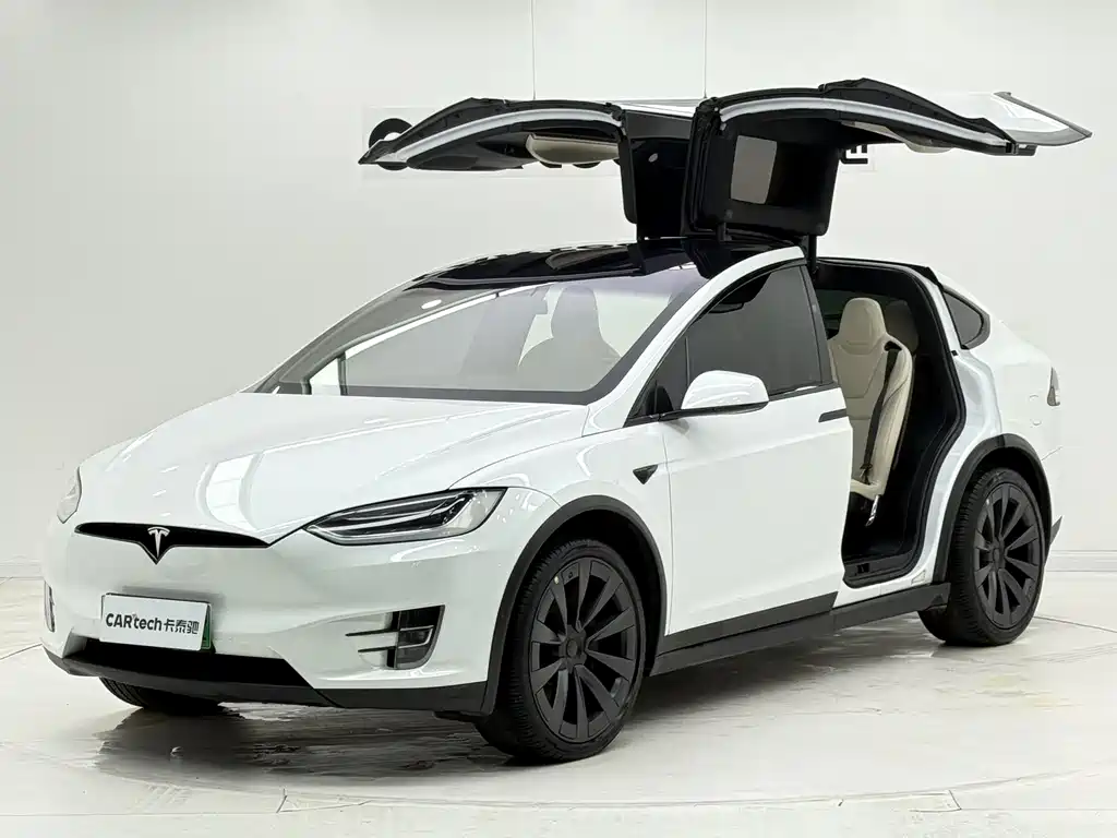 Tesla Model X 2019 — фото 10
