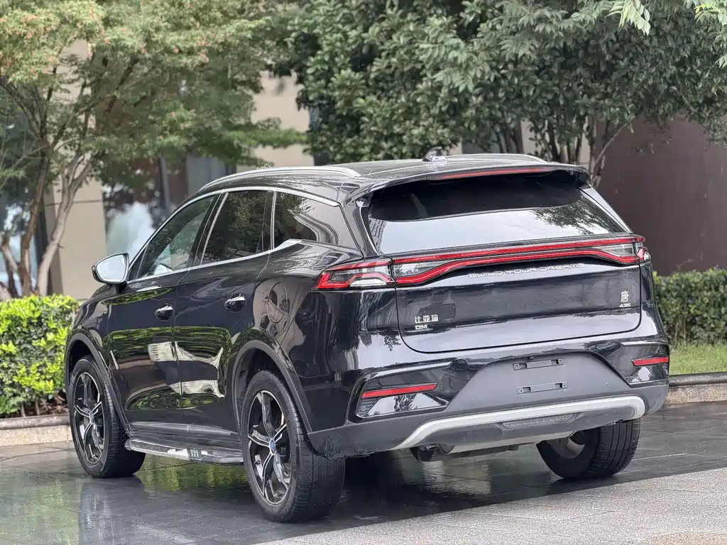 BYD Tang New Energy 2020 — фото 10