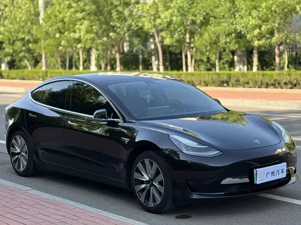 Tesla Model 3 2020 — фото 3