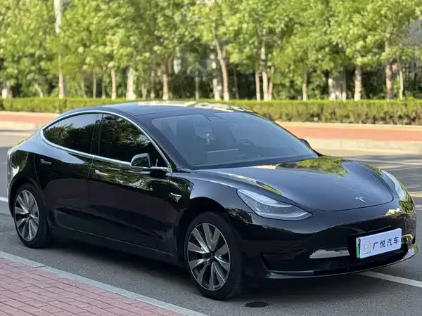 Tesla Model 3 2020