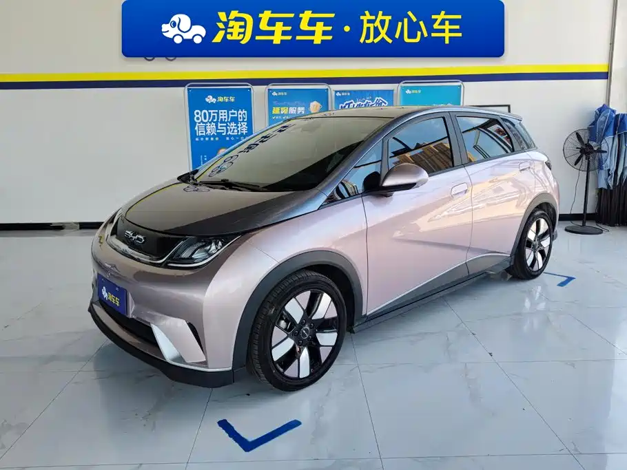 BYD Dolphin 2022