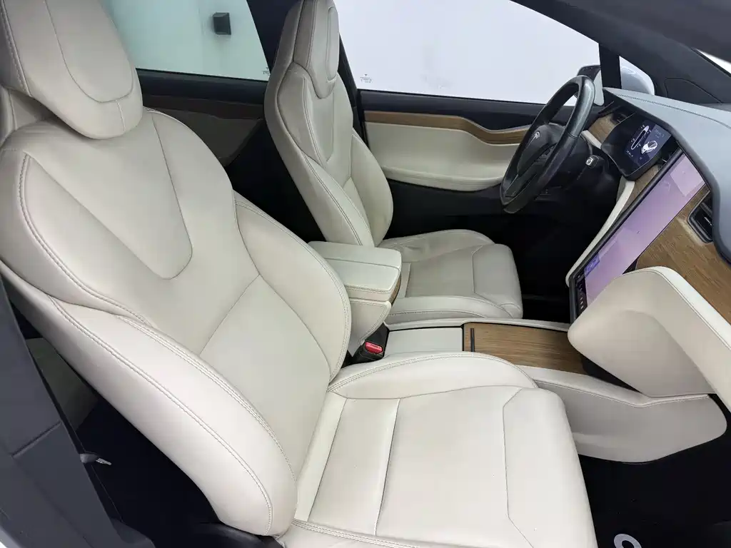 Tesla Model X 2019 — фото 19
