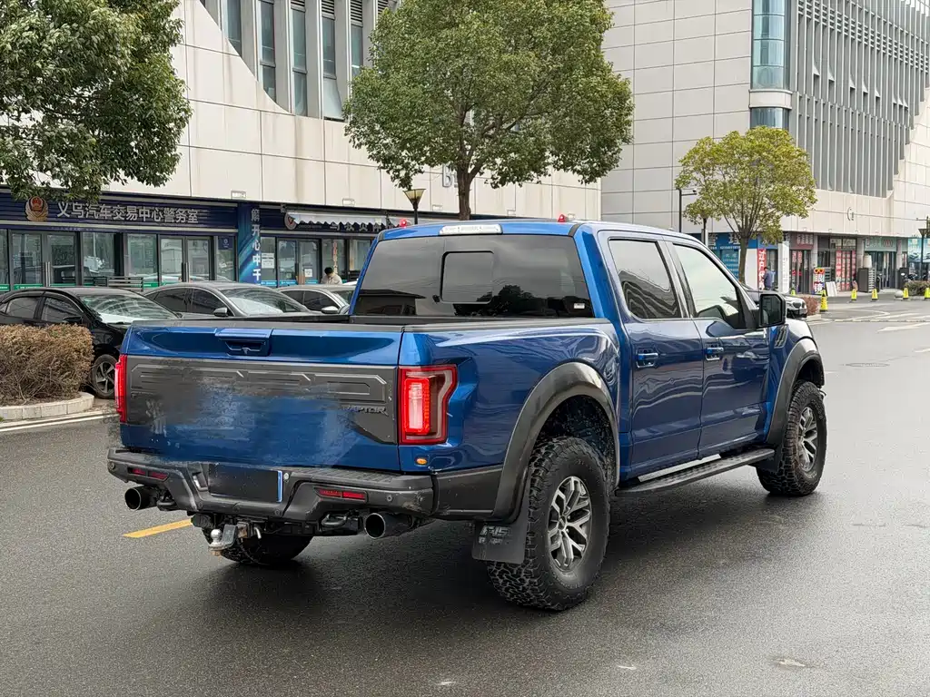 Ford F-150 Raptor 2019 — фото 9