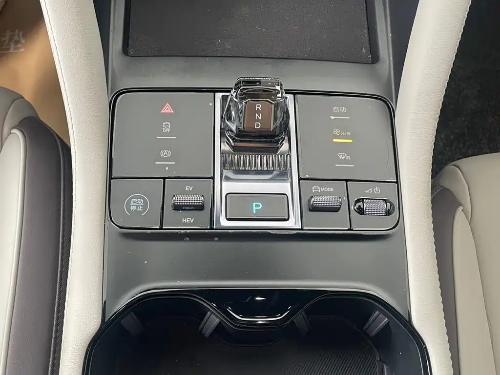 BYD PLUS New Energy 2025 — фото 8