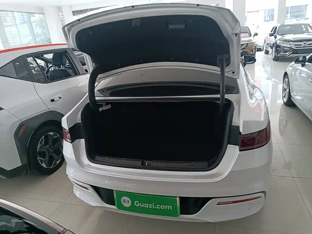 BYD Qin PLUS 2023 — фото 19
