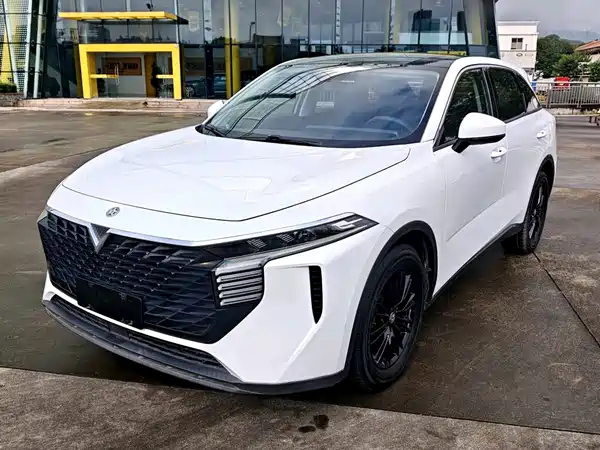 Venucia Big V 2022