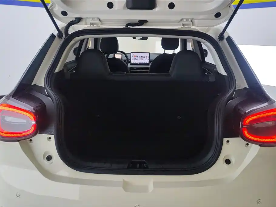 Dongfeng Nano 01 2024