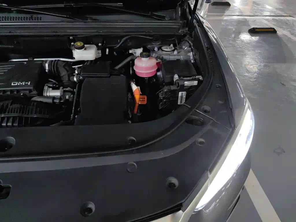 BYD Pro New Energy 2022 — фото 24