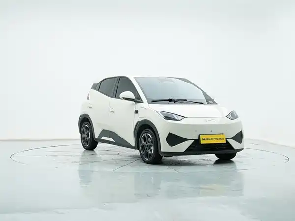 BYD Seagull 2025