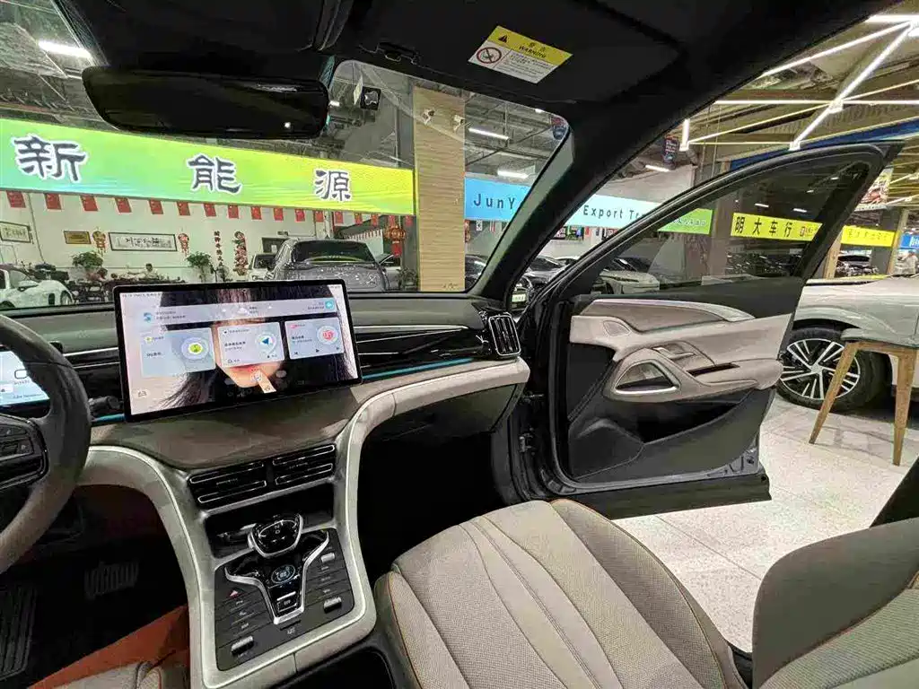 BYD Pro New Energy 2023 — фото 27