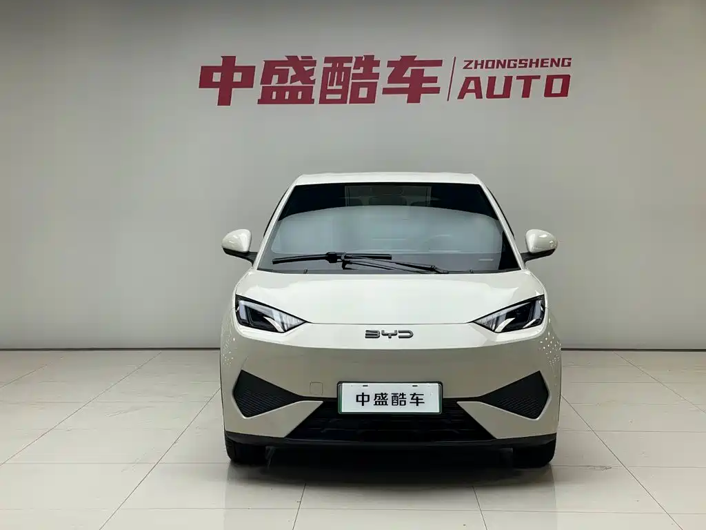 BYD Seagull 2025