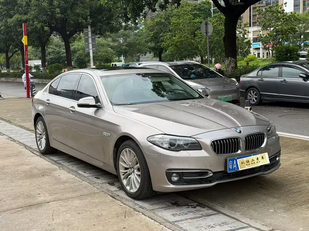 BMW 5 Series 2014