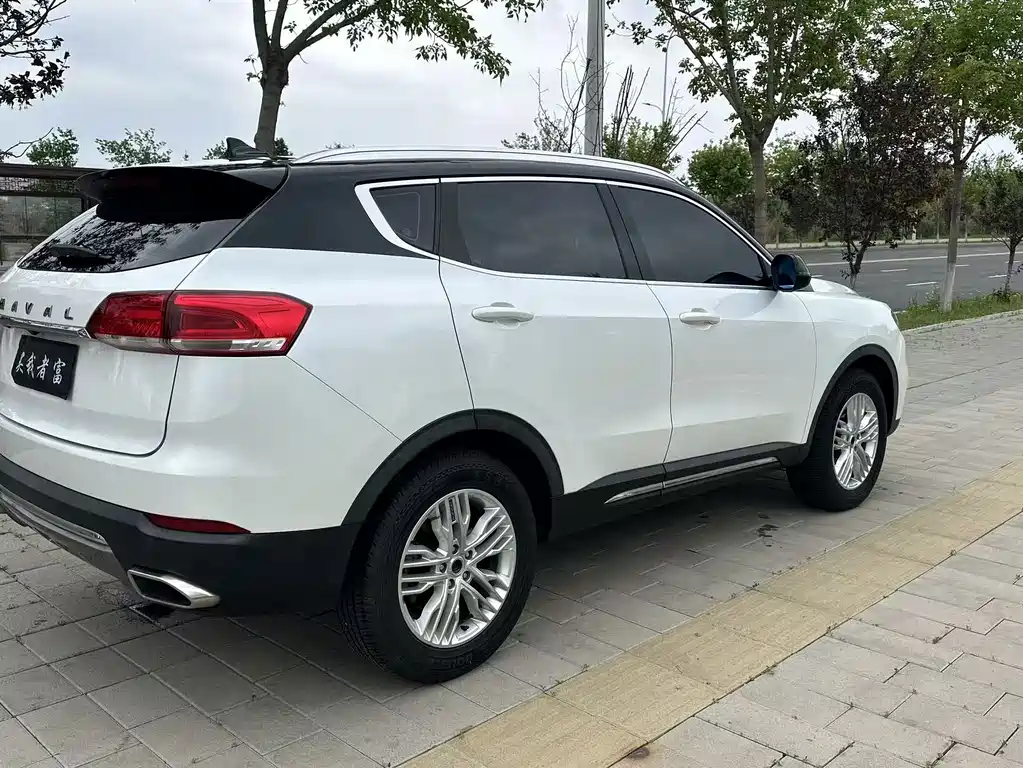 Haval H6 2017 — фото 6