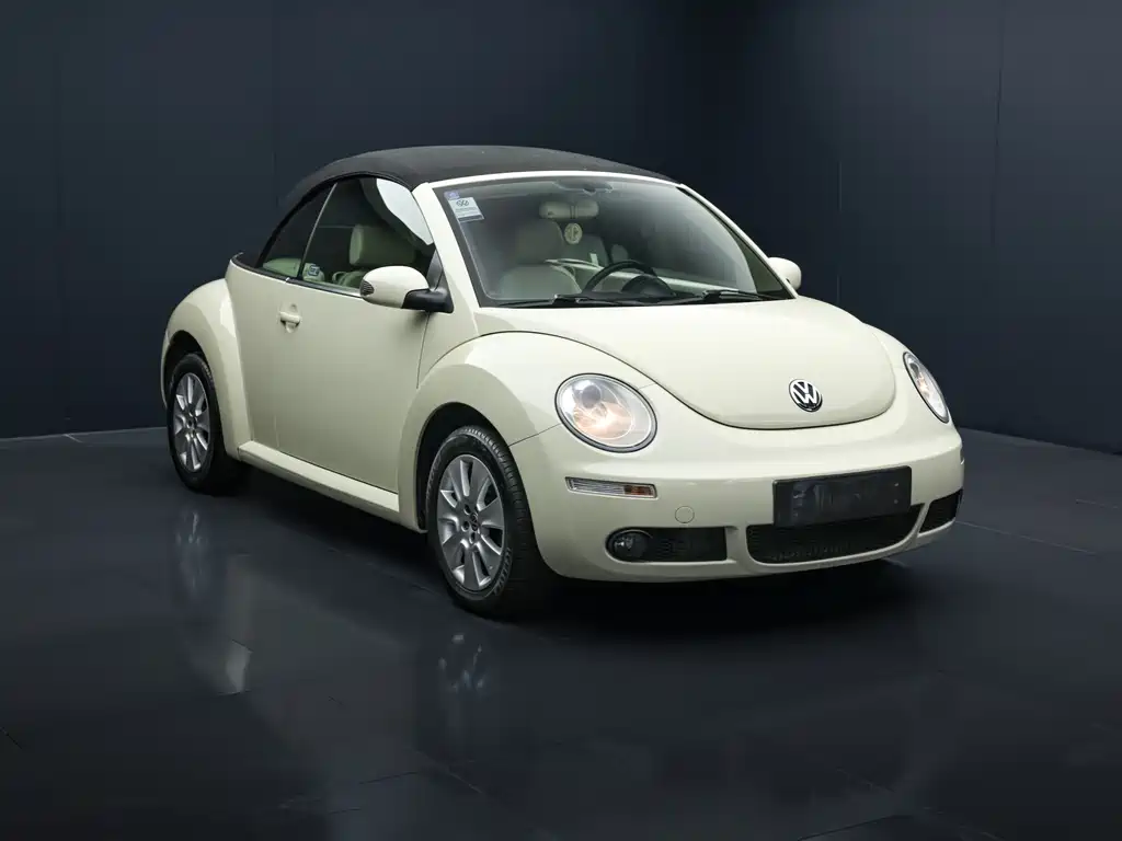 Volkswagen Beetle 2010