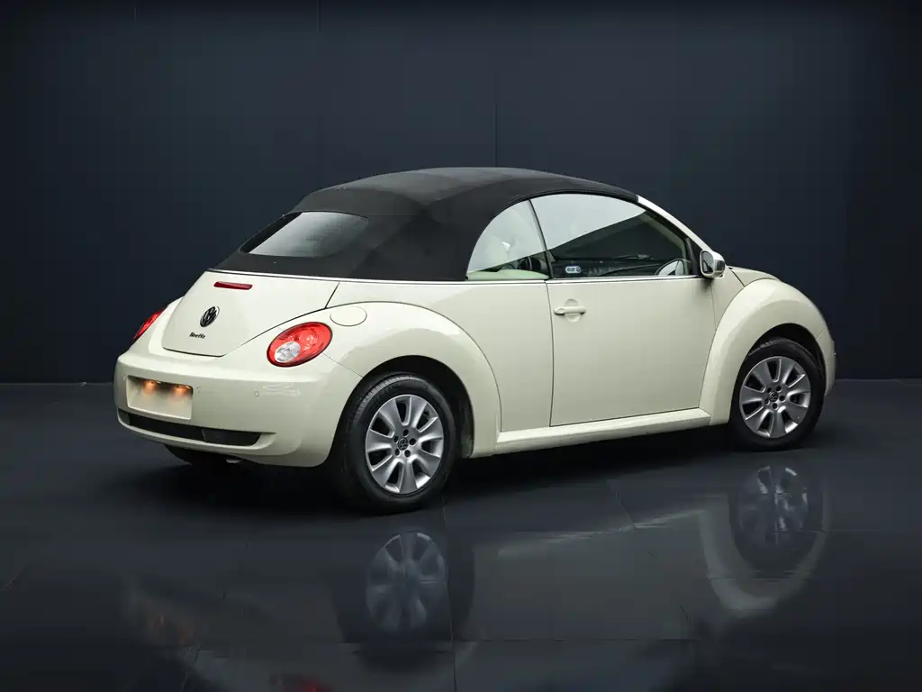 Volkswagen Beetle 2010