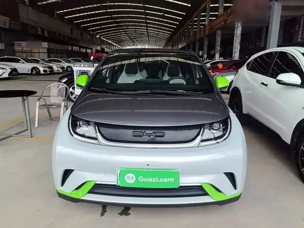BYD Dolphin 2023