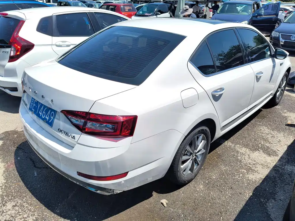 Skoda Octavia 2020 — фото 12