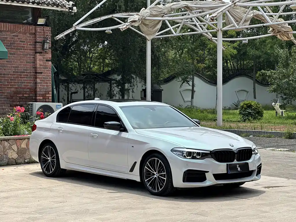 BMW 5 Series 2019