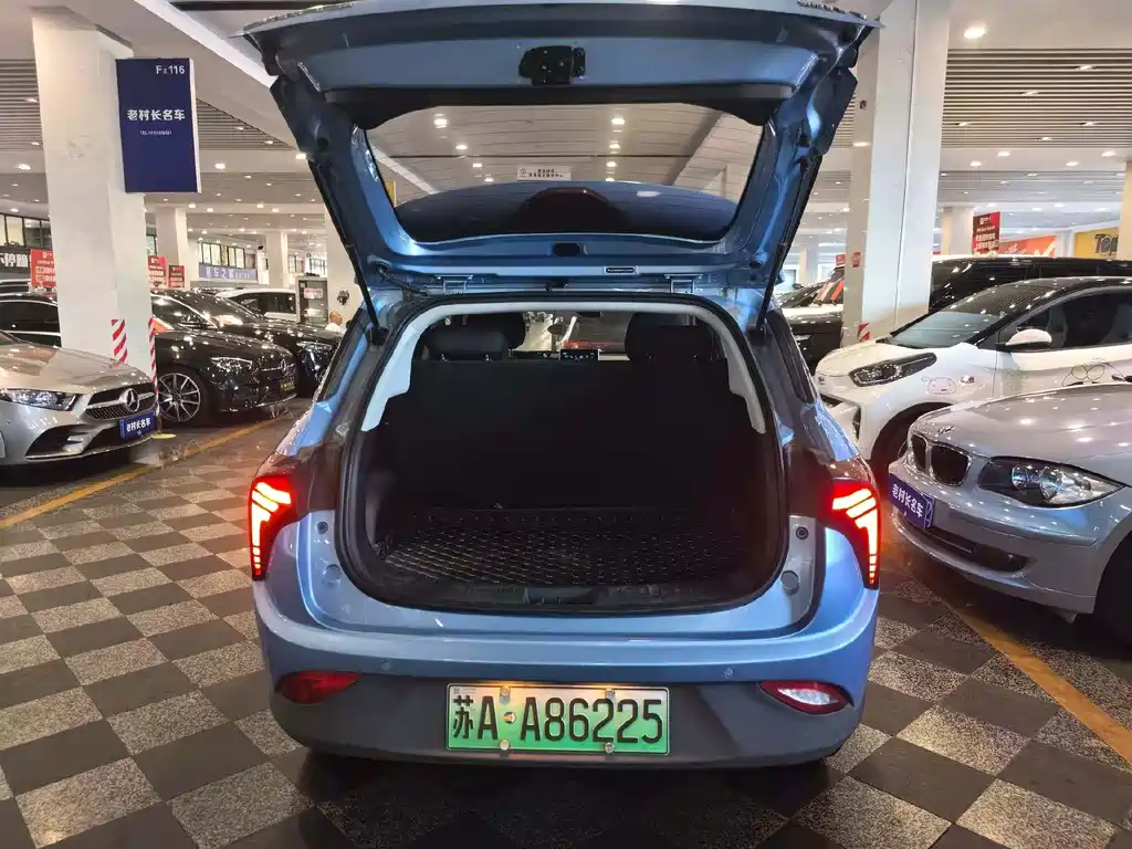 Neta V 2020