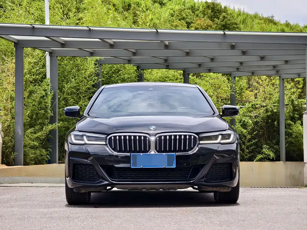 BMW 5 Series 2021