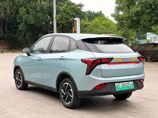 Neta V 2022