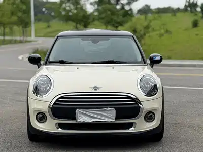 MINI MINI 2020