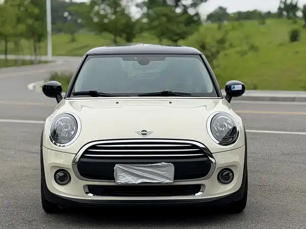 MINI MINI 2020