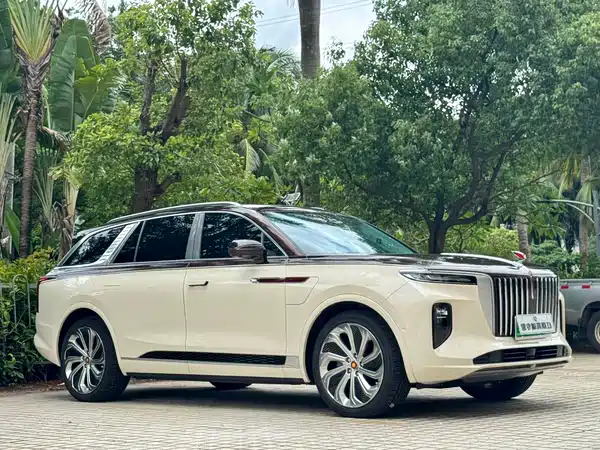 Hongqi E-HS9 2022