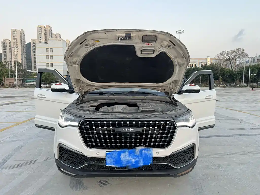 Zotye T700 2017 — фото 15