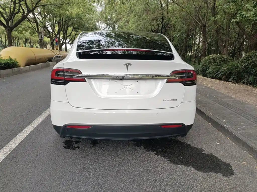 Tesla Model X 2019 — фото 6