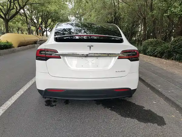Tesla Model X 2019