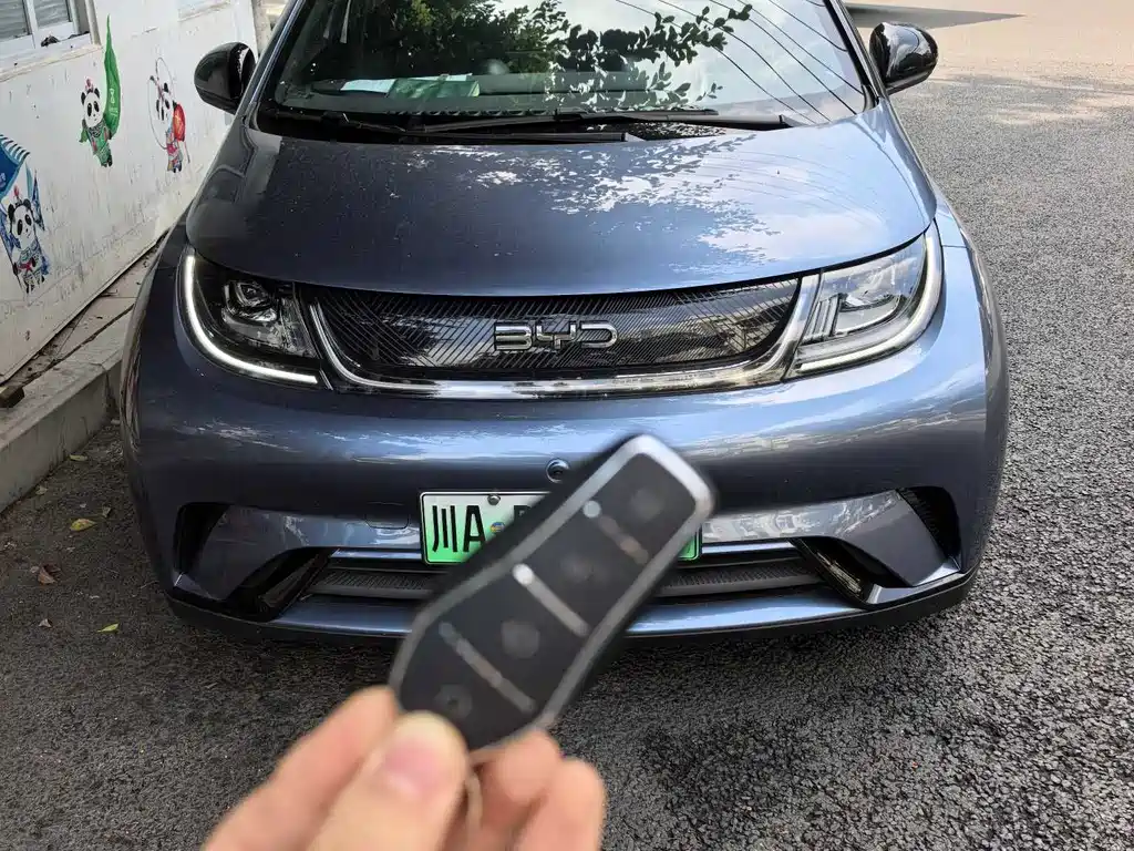 BYD Dolphin 2024
