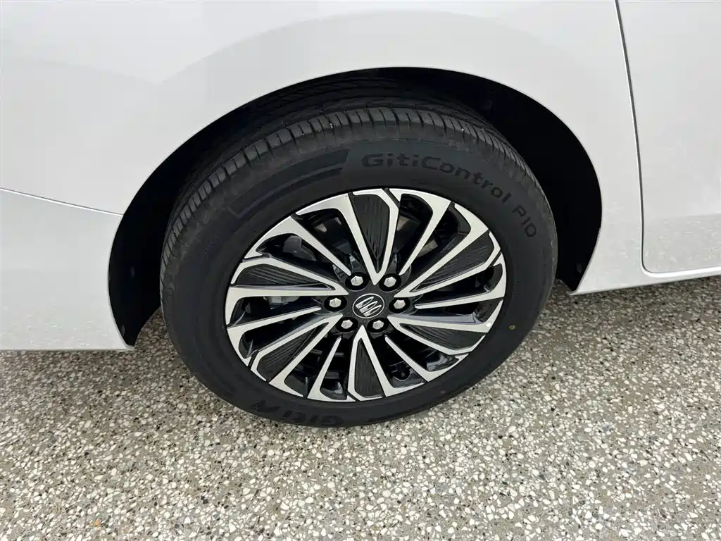 Buick GL8 Hybrid 2025 — фото 13