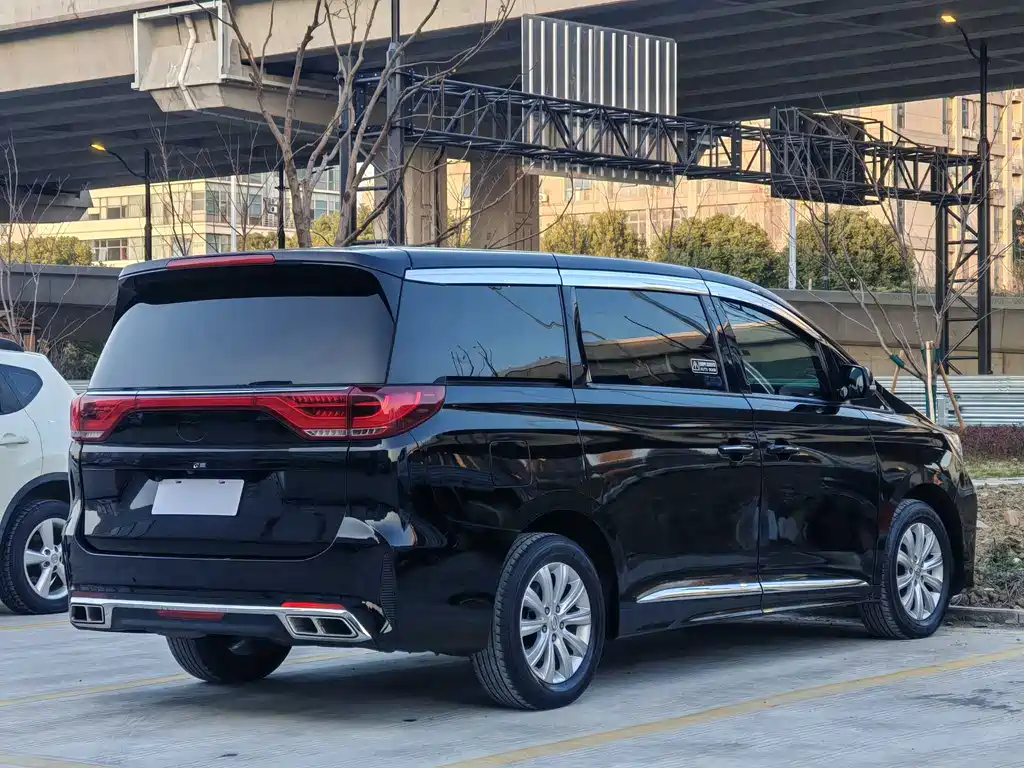 GAC Motor Trumpchi M8 2020 — фото 14
