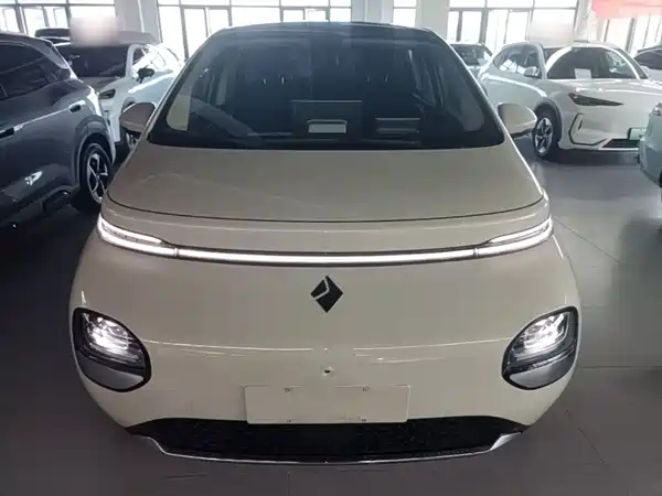 Baojun Yunduo 2024