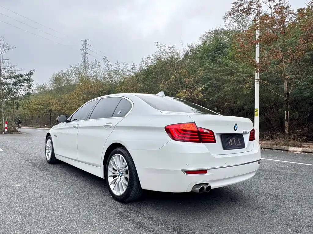 BMW 5 Series 2017 — фото 10