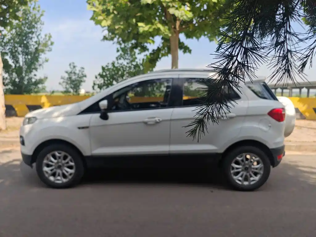 Ford Ecosport 2014 — фото 16