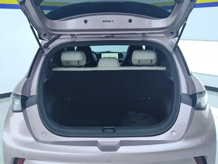 BYD Dolphin 2021