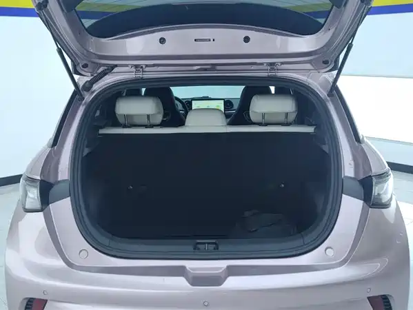BYD Dolphin 2021