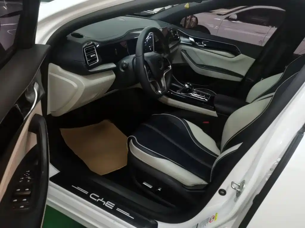 BYD Qin PLUS 2022 — фото 15