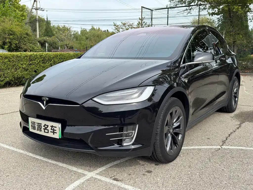 Tesla Model X 2018 — фото 1