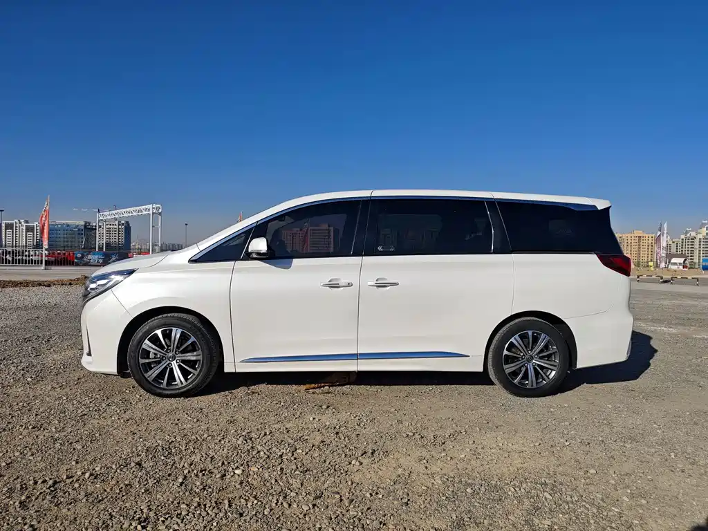 GAC Motor Trumpchi M8 2020 — фото 22