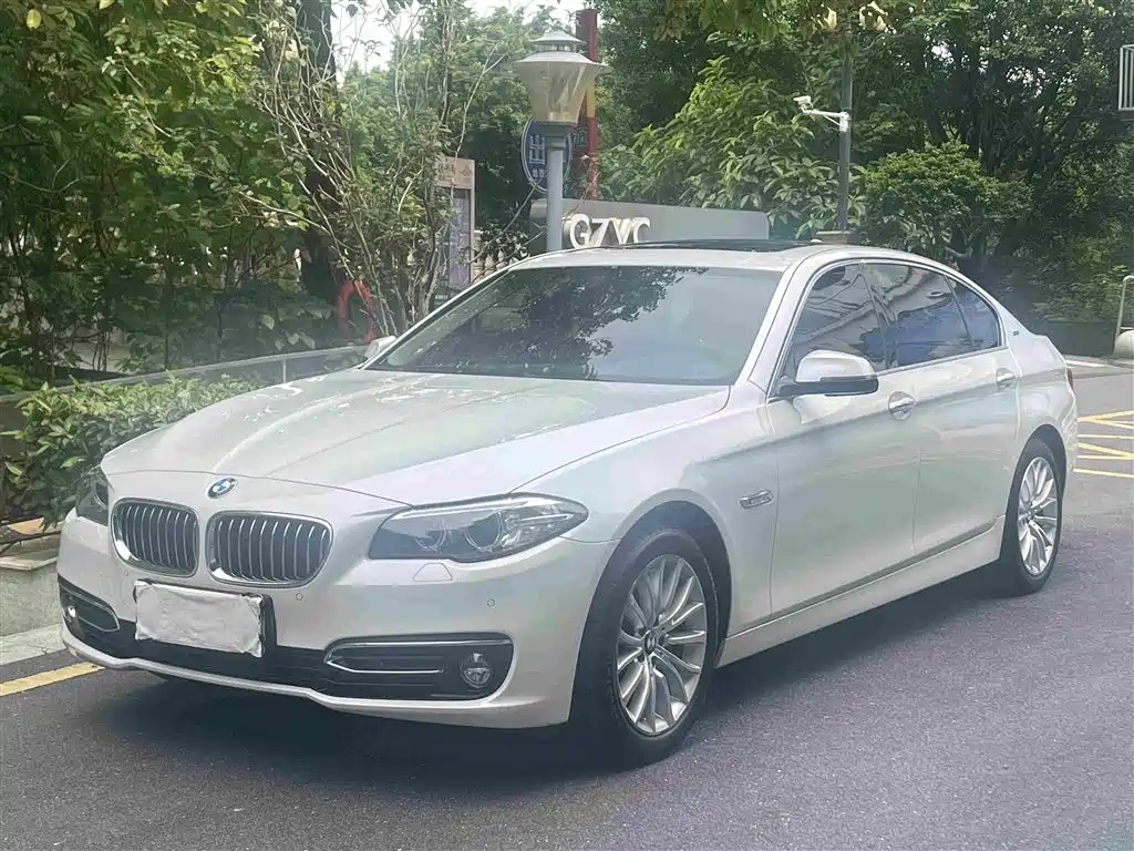 BMW 5 Series New Energy 2016